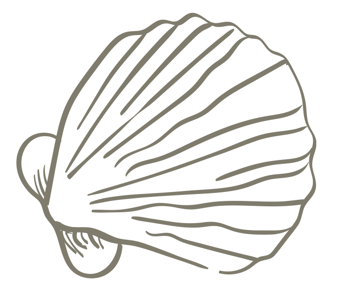 Eaglehawk Pavillions shell illustration